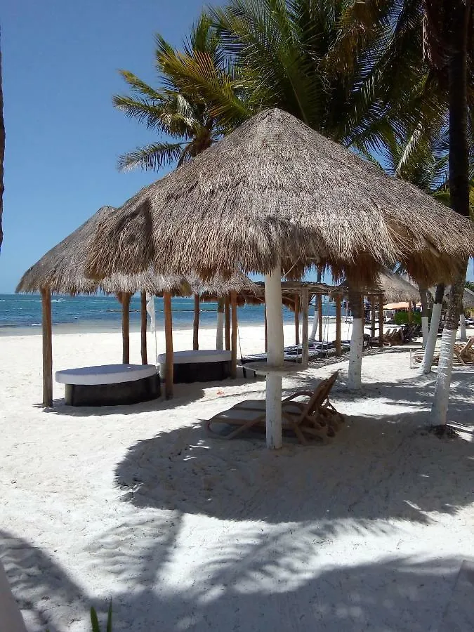 Apartment Beautiful Condo A Few Stps To Sea Cancun Mexico